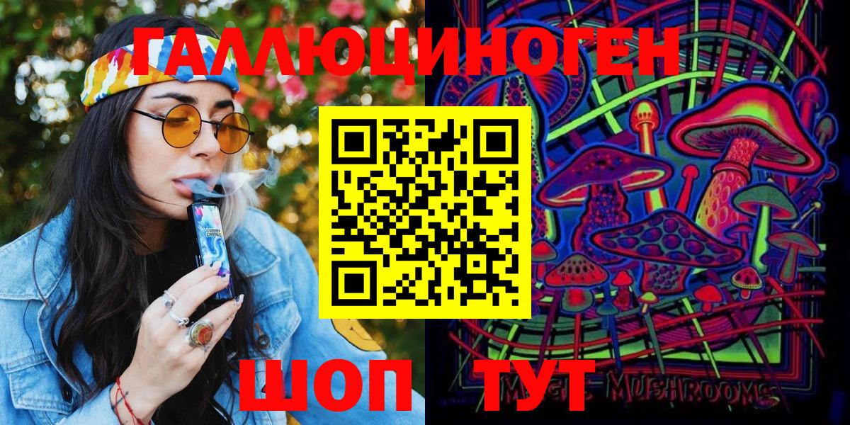 Галлюциногенные грибы Psilocybe Бердск