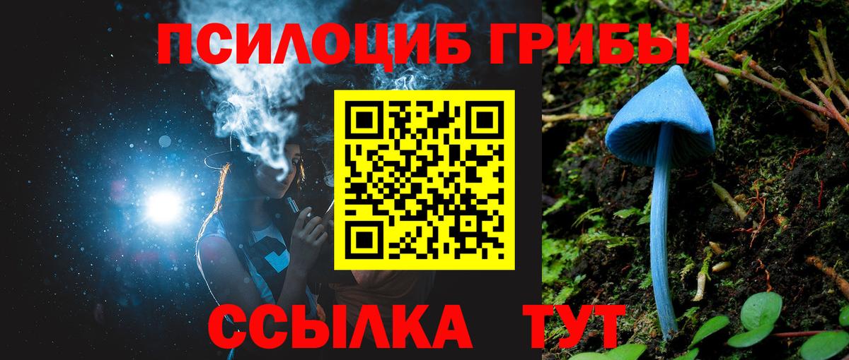 Галлюциногенные грибы мицелий  Вход с VPN  Галлюциногенные грибы ЛСД  купить   Бердск 